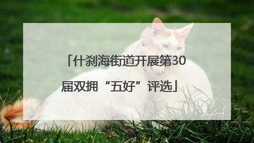 什刹海街道开展第30届双拥“五好”评选