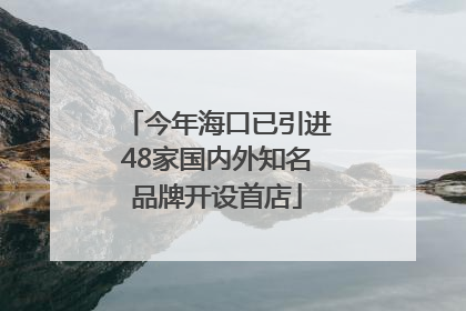 今年海口已引进48家国内外知名品牌开设首店