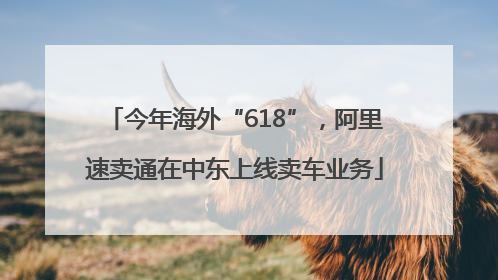 今年海外“618”，阿里速卖通在中东上线卖车业务