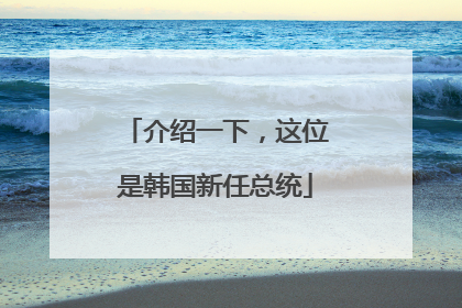介绍一下，这位是韩国新任总统