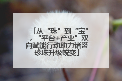 从“珠”到“宝”，“平台+产业”双向赋能行动助力诸暨珍珠升级蜕变