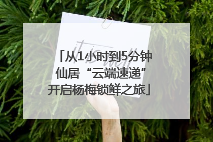 从1小时到5分钟 仙居“云端速递”开启杨梅锁鲜之旅