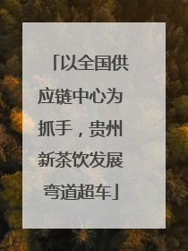 以全国供应链中心为抓手，贵州新茶饮发展弯道超车