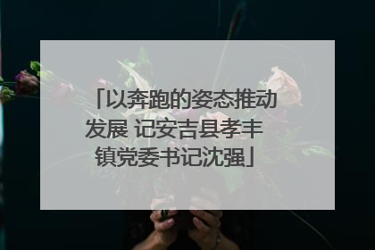 以奔跑的姿态推动发展 记安吉县孝丰镇党委书记沈强