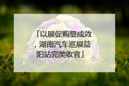 以展促购显成效，湖南汽车巡展益阳站完美收官