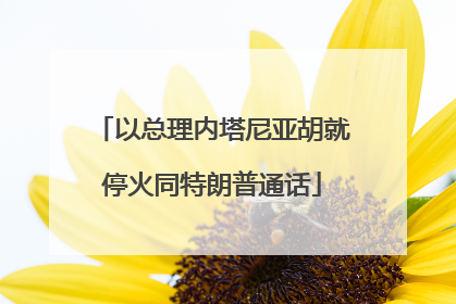 以总理内塔尼亚胡就停火同特朗普通话