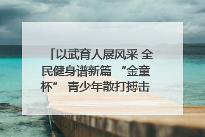 以武育人展风采 全民健身谱新篇 “金童杯” 青少年散打搏击邀请赛圆满落幕