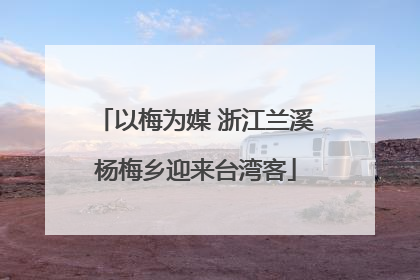 以梅为媒 浙江兰溪杨梅乡迎来台湾客