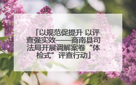 以规范促提升 以评查强实效——商南县司法局开展调解案卷“体检式”评查行动