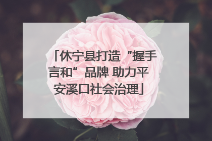 休宁县打造“握手言和”品牌 助力平安溪口社会治理