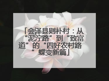 会泽县则补村：从“泥泞路”到“致富道”的“四好农村路”蝶变新篇