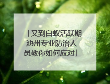 又到白蚁活跃期 池州专业防治人员教你如何应对
