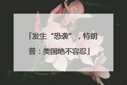 发生“恐袭”，特朗普：美国绝不容忍
