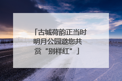古城荷韵正当时 明月公园邀您共赏“别样红”