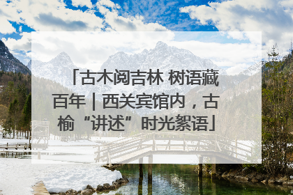 古木阅吉林 树语藏百年｜西关宾馆内，古榆“讲述”时光絮语
