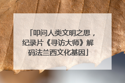 叩问人类文明之思，纪录片《寻访大师》解码法兰西文化基因