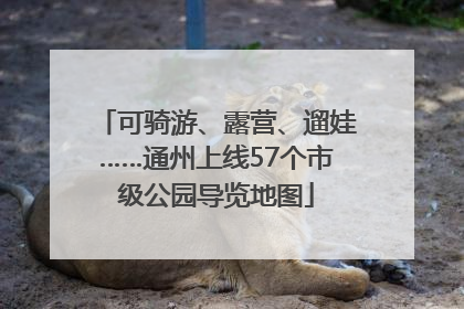 可骑游、露营、遛娃……通州上线57个市级公园导览地图