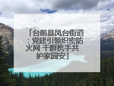 台前县凤台街道：党建引领织密防火网 干群携手共护家园安