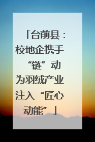 台前县：校地企携手“链”动 为羽绒产业注入“匠心动能”
