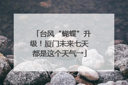 台风“蝴蝶”升级！厦门未来七天都是这个天气→