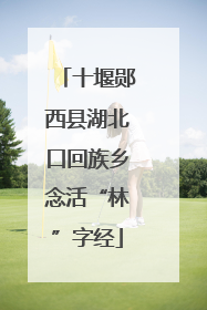 十堰郧西县湖北口回族乡念活“林”字经