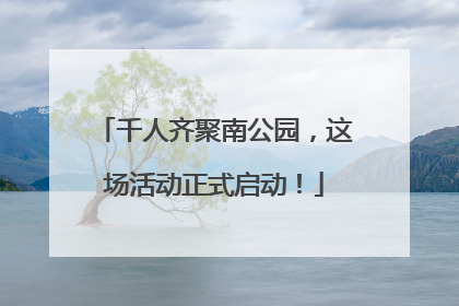 千人齐聚南公园，这场活动正式启动！