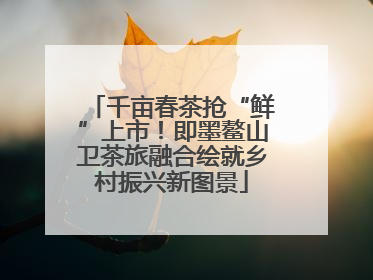 千亩春茶抢“鲜”上市！即墨鳌山卫茶旅融合绘就乡村振兴新图景