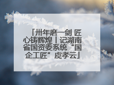 卅年磨一剑 匠心铸辉煌丨记湖南省国资委系统“国企工匠”虞孝云