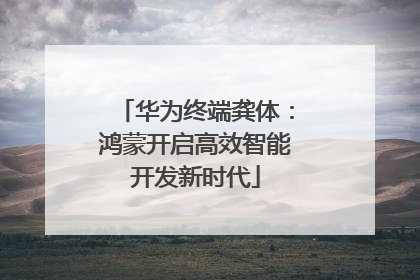 华为终端龚体：鸿蒙开启高效智能开发新时代