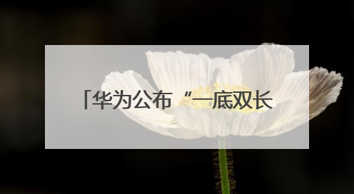 华为公布“一底双长焦”专利，将首发于Pura 80系列