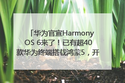 华为官宣HarmonyOS 6来了！已有超40款华为终端搭载鸿蒙5，开发者突破800万