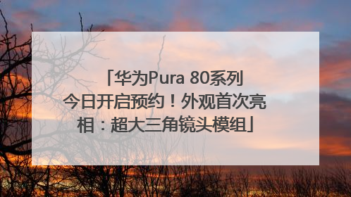 华为Pura 80系列今日开启预约！外观首次亮相：超大三角镜头模组