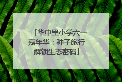 华中里小学六一嘉年华：种子旅行解锁生态密码