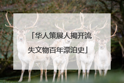 华人策展人揭开流失文物百年漂泊史
