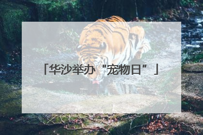 华沙举办“宠物日”