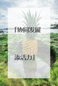 协同发展添活力