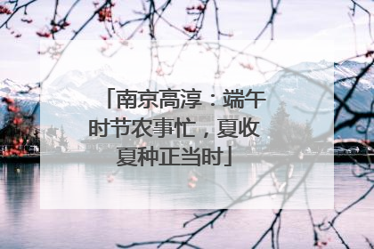 南京高淳：端午时节农事忙，夏收夏种正当时