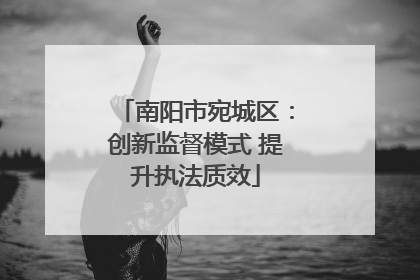南阳市宛城区：创新监督模式 提升执法质效