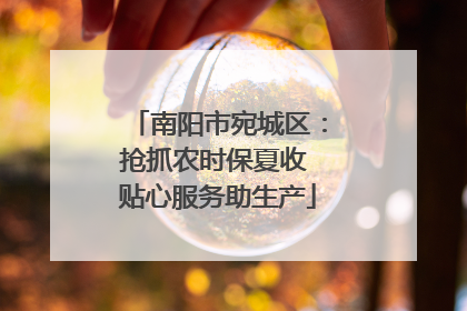 南阳市宛城区：抢抓农时保夏收 贴心服务助生产