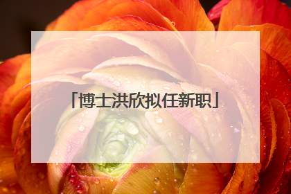 博士洪欣拟任新职