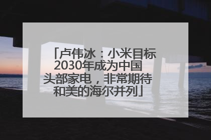 卢伟冰：小米目标2030年成为中国头部家电，非常期待和美的海尔并列