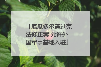 厄瓜多尔通过宪法修正案 允许外国军事基地入驻