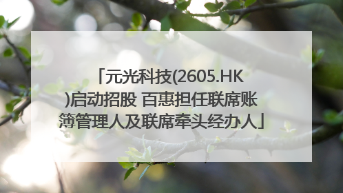 元光科技(2605.HK)启动招股 百惠担任联席账簿管理人及联席牵头经办人