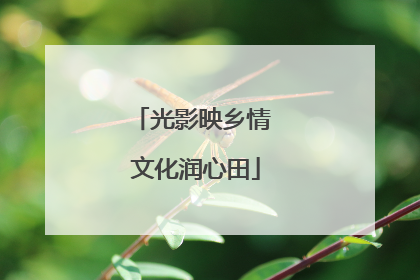 光影映乡情 文化润心田