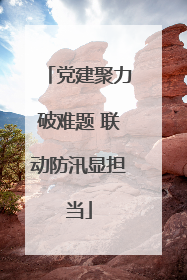 党建聚力破难题 联动防汛显担当