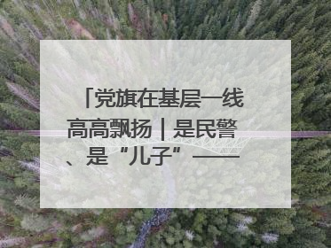 党旗在基层一线高高飘扬｜是民警、是“儿子”——申飞飞在太行山中的一线坚守