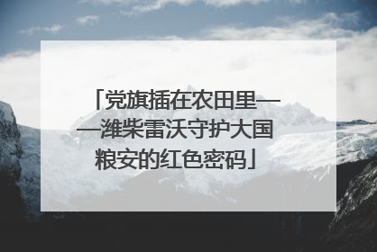 党旗插在农田里——潍柴雷沃守护大国粮安的红色密码
