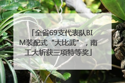 全省69支代表队BIM装配式“大比武”，南工大斩获三项特等奖