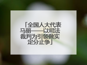 全国人大代表马丽——以司法裁判为引领做实定分止争