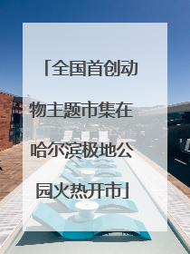 全国首创动物主题市集在哈尔滨极地公园火热开市